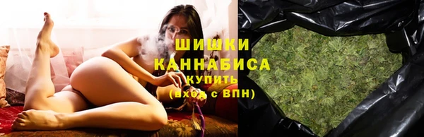 трава Инта