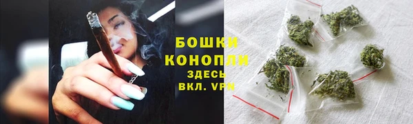 трава Инта