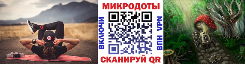 Галлюциногенные грибы Psilocybine cubensis  hydra зеркало  Теберда 